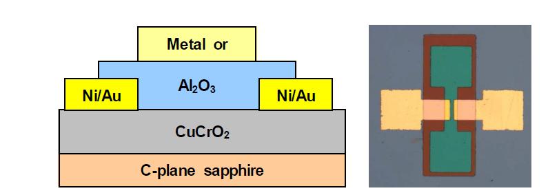 c-plane 사파이어 위에 CuCrO2 막을 증착시켜 만든 Top gate PMOS 모식도 및 소자 사진