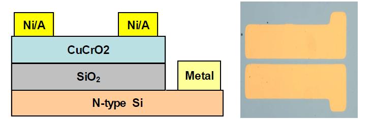 n-type Si/SiO2 위에 CuCrO2 막을 증착시켜 만든 bottom gate PMOS 모식도 및 소자 사진