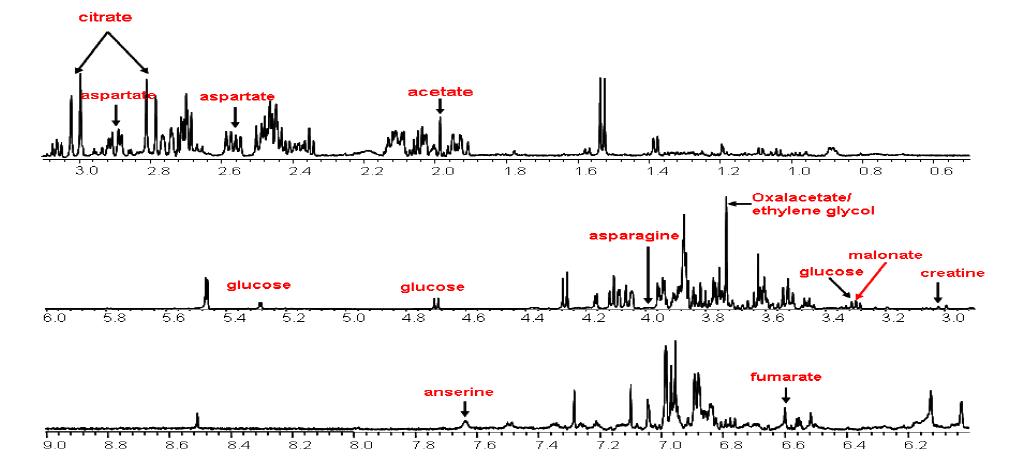 구아바 잎 NMR spectrum assignment