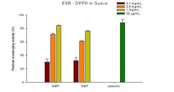 DPPH radical scavenging activity of 80% methanol extracts of Guava.