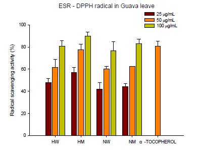 DPPH radical scavenging activity of 80% methanol extracts and water extracts of Guava leave.