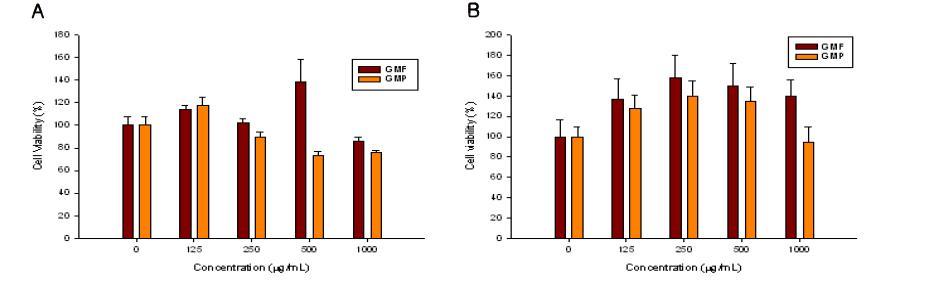 Effect of Guava on SNU-16 (A) cells and HeLa (B) cells viability. The cells were treated with various concentrations (125-1000 μg/mL) of different extracts for 72 h.