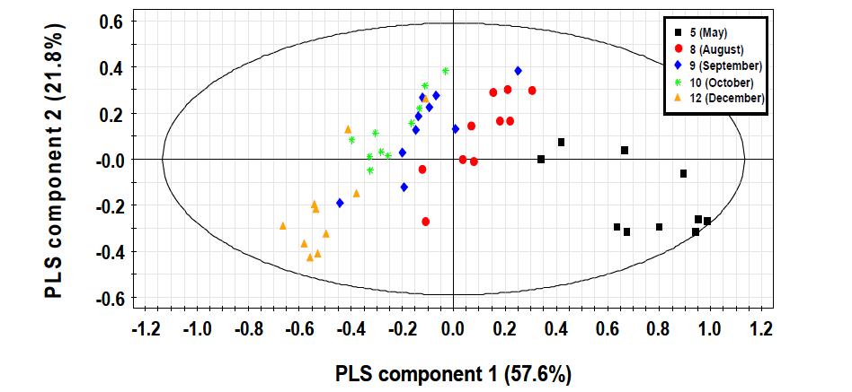 구아바 줄기 (aqueous fraction)의 시기별 비교 PLS-DA model의 score plot