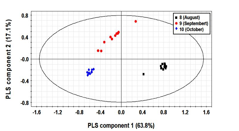 구아바 열매 (aqueous fraction)의 시기별 비교 PLS-DA model의 score plot