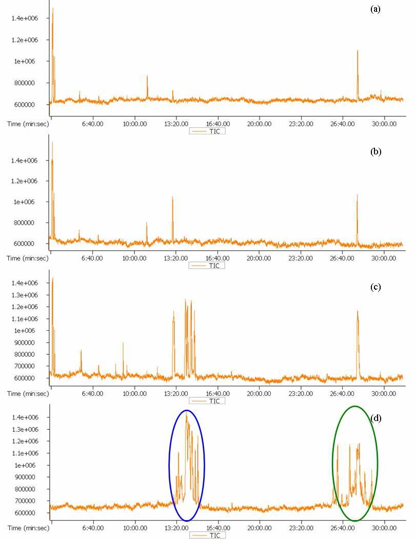 GC-TOF-MS total ion chromatogram of guava fruits harvested in (a) May (b) August (c) September (d) October (e) December