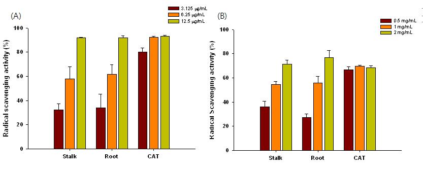 Determination of radical scavenging activity of stalk and root extracts of guava.