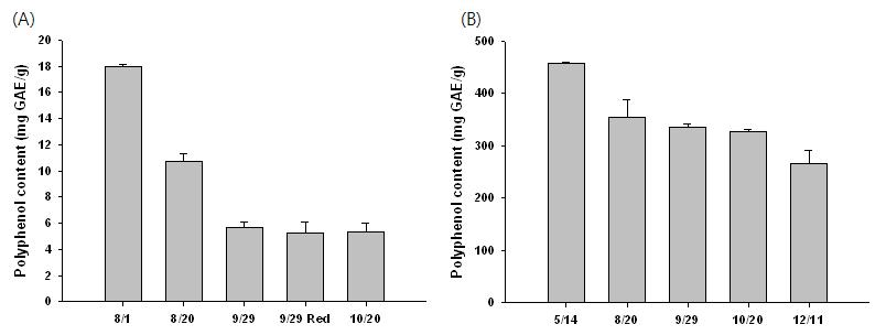Total polyphenol content of seasonal guava(A) and leaf(B).