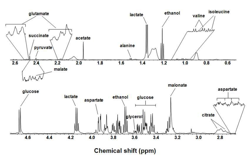 성숙 망고 과육을 섭취시킨 mouse plasma의 NMR spectrum assignment