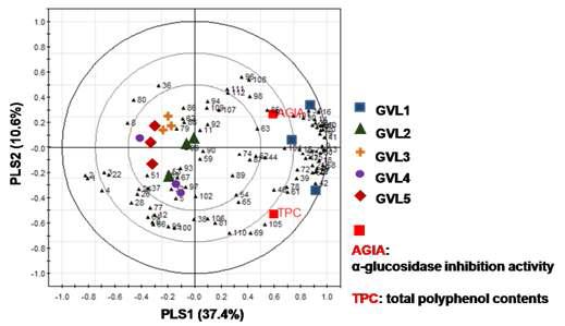 Correlation of metabolites and antidiabetic activities in guava leaves at different harvest periods in PLS bi plot.