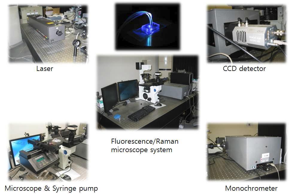 고출력 레이저-펌프-현미경-분광기들을 조합한 랩온어칩 시그널 측정용 시스템