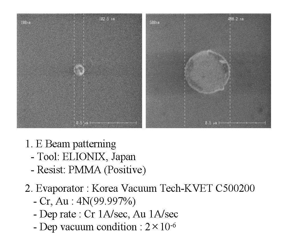 금 박막의 나노패턴의 SEM 이미지