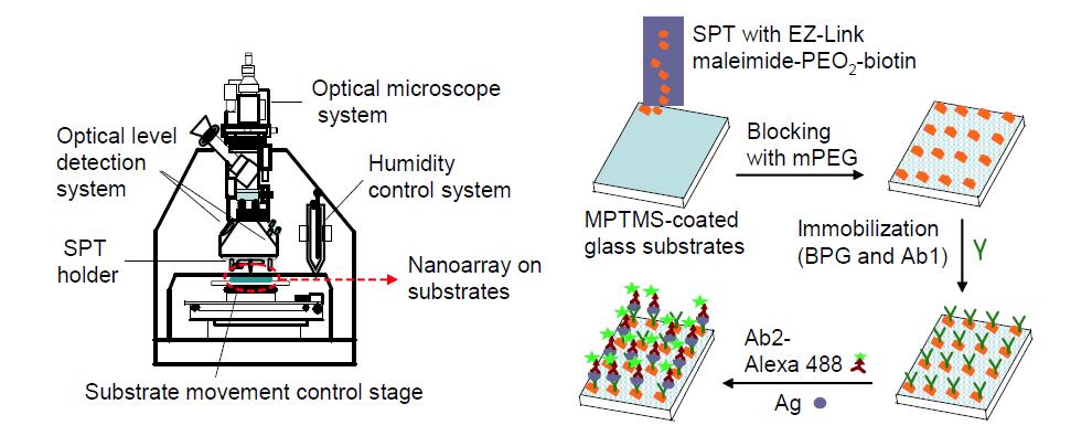 zM이하의 어레이를 위한 시스템과 이를 이용한 단백질 분자의 어레이 모식도
