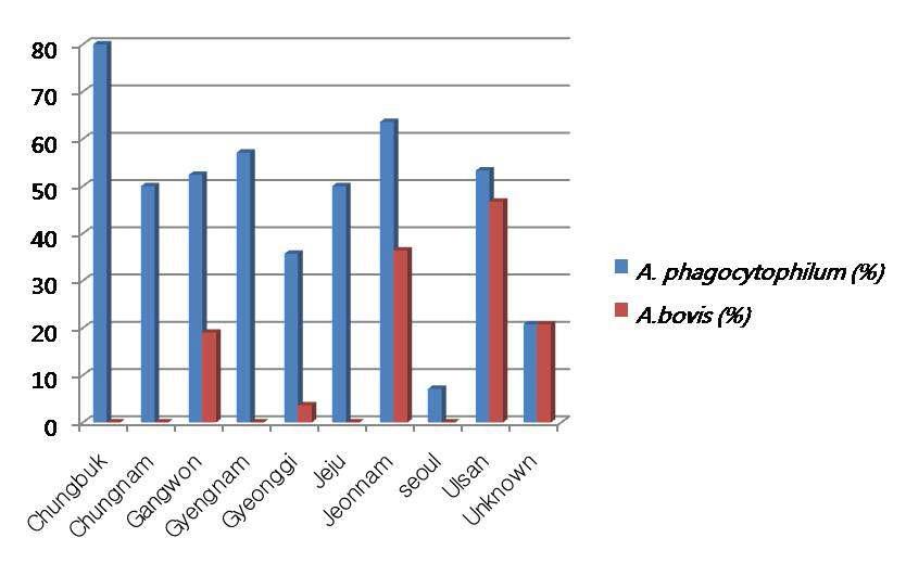 Regional distribution of A. phagocytophilum and A. boivs for collected Korean water deer.