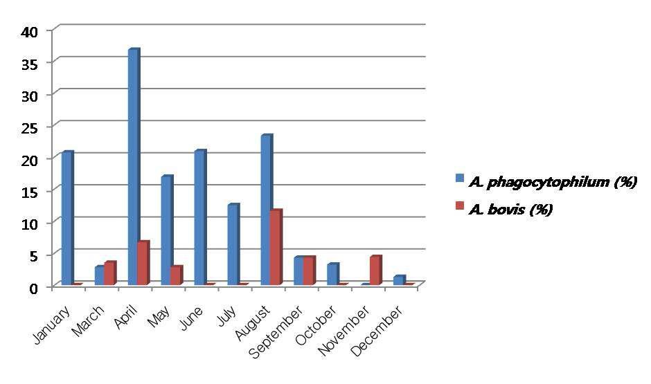 Detection of A. phagocytophilum from wild rodents collected at US Army training sites in 2008.