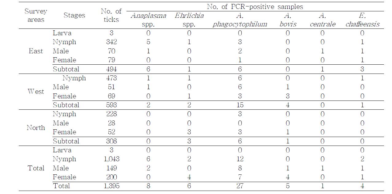 Prevalence of total ticks (number of pools) and tick-borne pathogens identified from the three main survey areas during 2007 and 2008 in Jeju Island, Korea