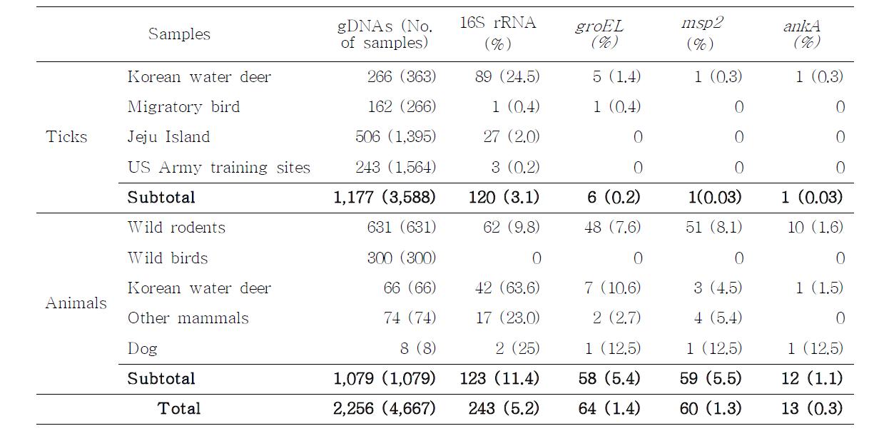 Prevalence of A. phagocytophilum in ticks and animals in Korea, 2008-2009