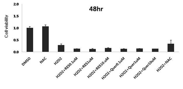 신경세포에 과산화수소의 선처리 후, NAC와 resveratrol, quercetin을 투여한 뒤 48시간 경과 후 세포 생존율 측정