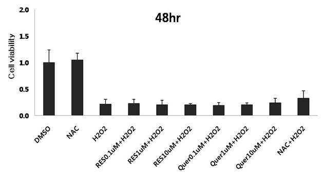 신경세포에 NAC와 resveratrol, quercetin 처리 후 과산화수소를 처리하여 48시간 경과 뒤 MTT를 이용한 세포의 생존율 측정