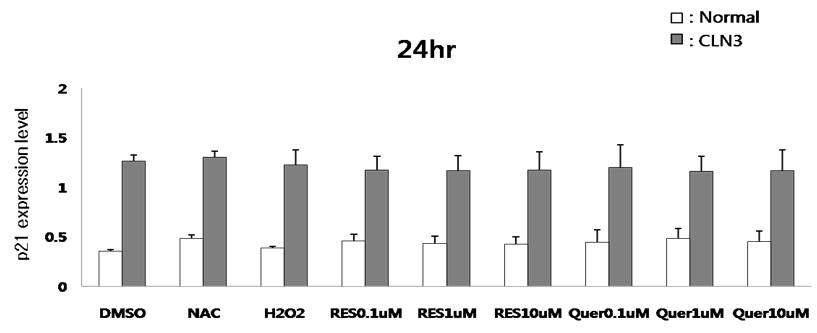 정상인의 lymphoblast와 바텐병 환자의 (24hr) lymphoblast를 이용하여 항산화제 처리 후 quantitative RT-PCR 수행.