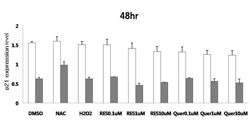 정상인의 lymphoblast와 바텐병 환자의 (48hr) lymphoblast를 이용하여 항산화제 처리 후 quantitative RT-PCR 수행.