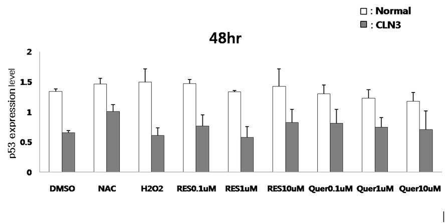 정상인의 lymphoblast와 바텐병 환자의 (48hr) lymphoblast를 이용하여 항산화제 처리 후 quantitative RT-PCR 수행.