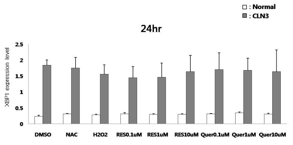 정상인의 lymphoblast와 바텐병 환자의 (24hr) lymphoblast를 이용하여 항산화제 처리 후 quantitative RT-PCR 수행.