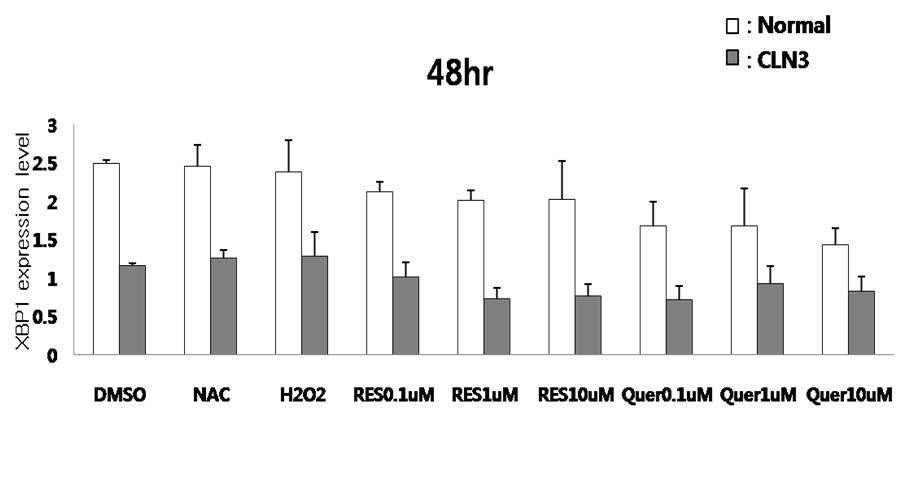 정상인 (Normal)의 lymphoblast와 바텐병 환자 (Batten disease patient)의 (48hr) lymphoblast를 이용하여 항산화제 처리 후 Quantitative RT-PCR 수행.