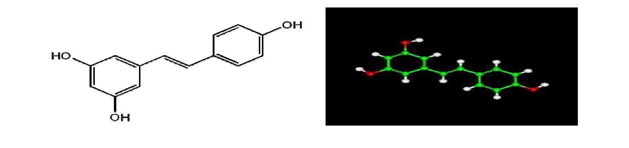 Resveratrol의 구조.