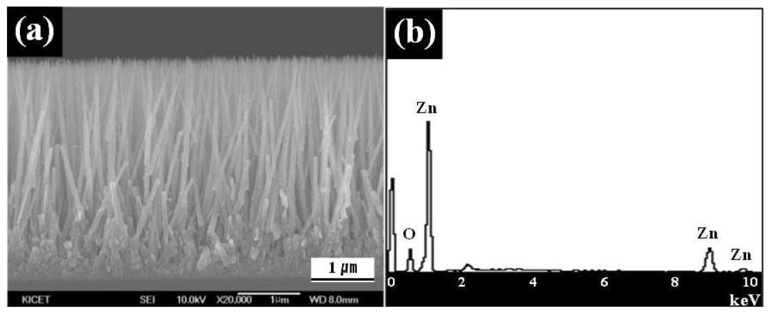 5 mol%의 Pd이 도핑된 ZnO 반응물로부터 합성된 ZnO 나노와이어가 성장된 기판의 (a) 단면 FESEM 이미지와 (b) EDS 스펙트럼