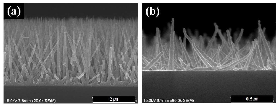 Pd-ZnO 반응물질로부터 1100oC에서 30분 동안 (a) 산소없이 그리고 (b) 40 sccm의 산소 유량조건으로 열처리된 기판의 SEM 단면사진