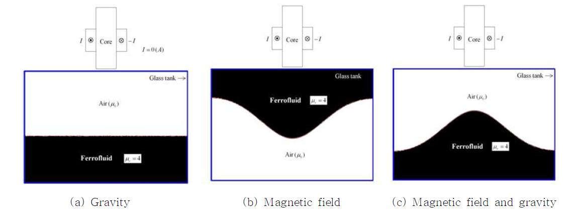 3가지 경우의 ferrofluid의 최종 형상