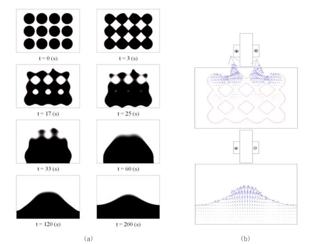 (a) 해석 시간에 따른 ferrofluid의 형상과 (b) ferrofluid 내부의 전자기력 분포