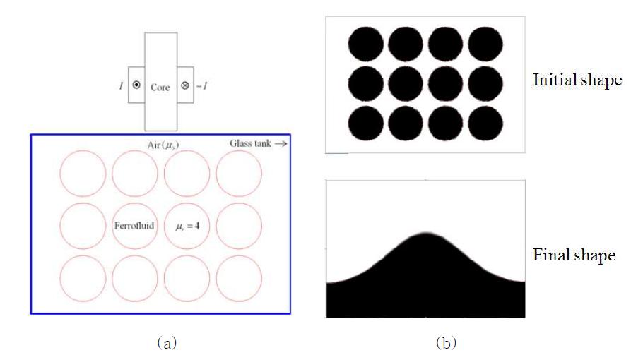 12개의 ferrofluid 봉과 전자석으로 구성된 적용 모델과 (b) 초기와 최종 ferrofluid 형상
