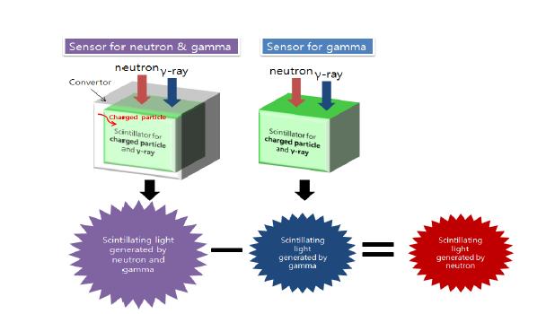 감마선-중성자 혼합영역에서 감마선과 중성자의 분리 측정 방법
