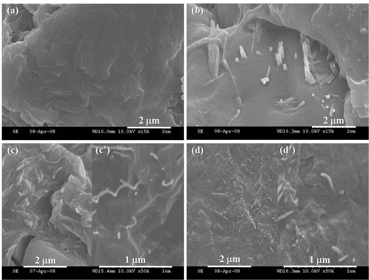 SEM microphotographs of (a) neat nylon 610, (b) nylon 610/raw MWNTs, (c) nylon 610/MWNT-COOH, and (d) nylon 610/MWNT-COOH/PVA nanocomposites