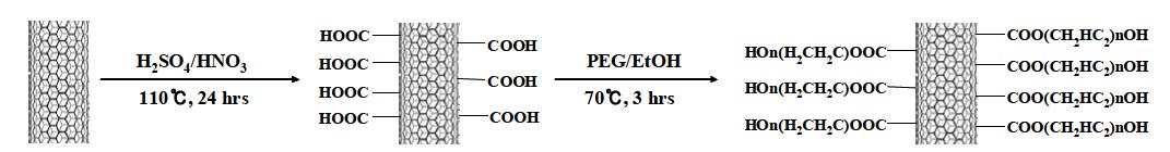 The procedure for the preparation of the PEGylated MWNT through oxidation and esterification reactions