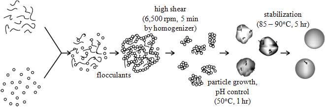 Heterocoagulation process for synthesizing CNTs-containing P(St-co-BA) colloidal nanocomposite in aqueous medium