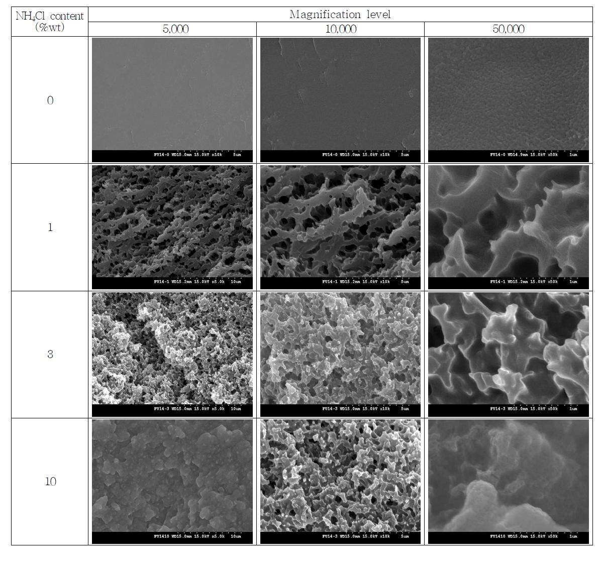 Microstructure of cured UF resin adhesives with a F/U mole ratio of 1.4 at different NH4Cl addition levels