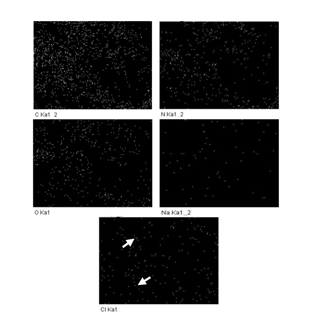 Chemical element distribution of cured UF resin with a F/U mol ratio of 1.0 by the addition of 1% NH4Cl.