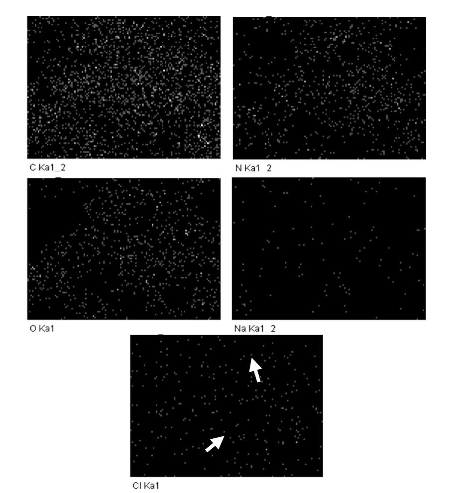 Chemical element distribution of cured UF resin with a F/U mol ratio of 1.0 by the addition of 3% NH4Cl.