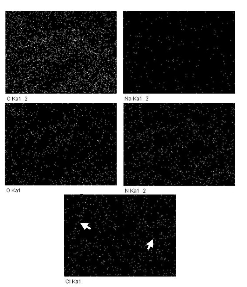 Chemical element distribution of cured UF resin with a F/U mol ratio of 1.4 by the addition of 1% NH4Cl.