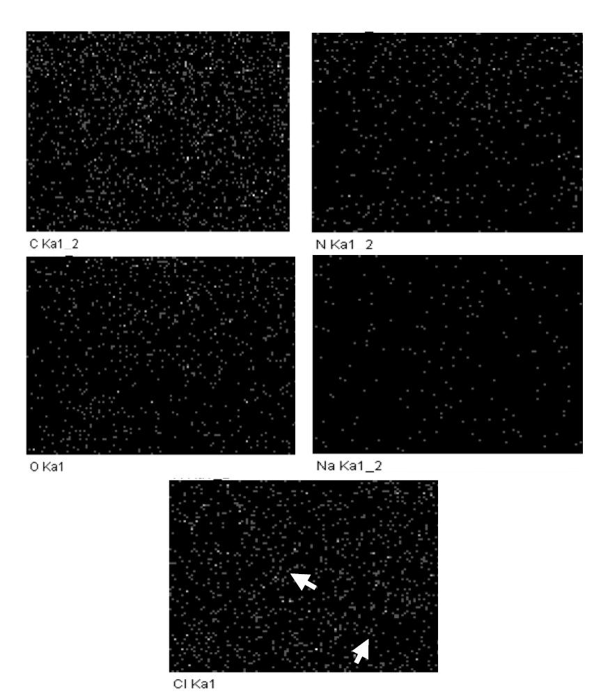 Chemical element distribution of cured UF resin with a F/U mol ratio of 1.4 by the addition of 3% NH4Cl.