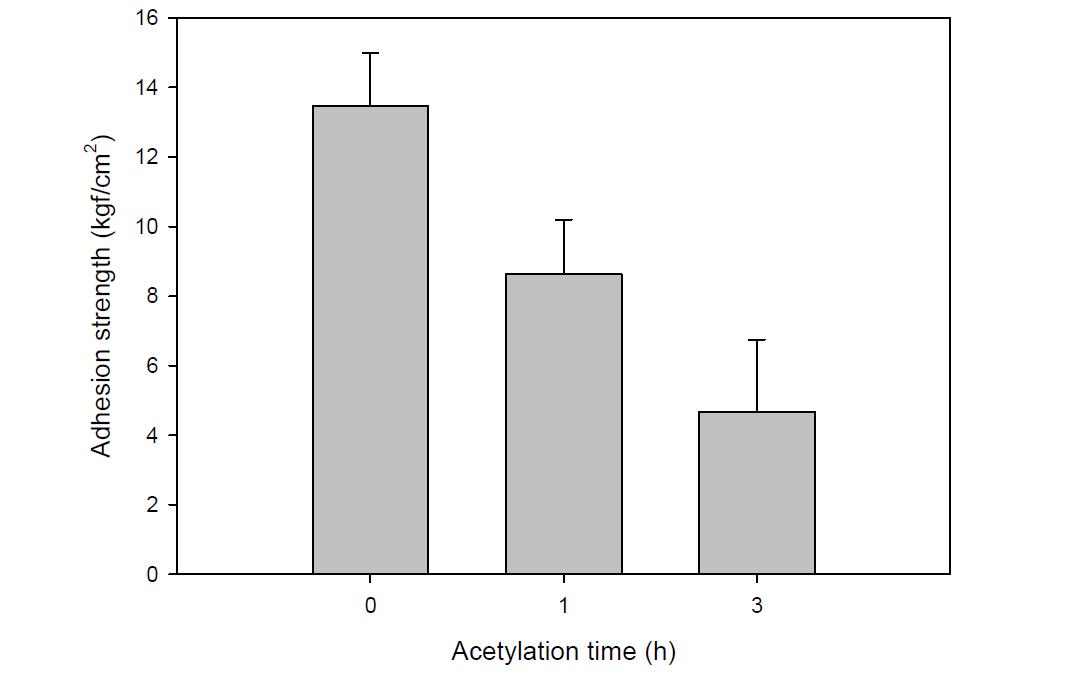 Adhesion strength of plywood manufactured by acetylated veneer and UF resin adhesive