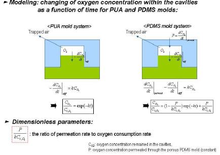 PUA 몰드 및 PDMS몰드내에서의 시간에 따른 산소 농도 변화의 수학적 모델링