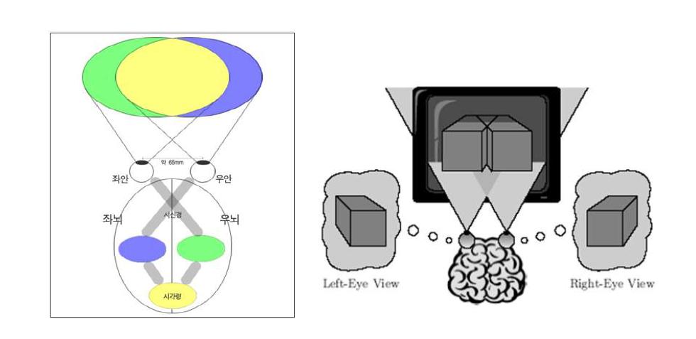 3차원 디스플레이 영상에서 양안시차에 의한 깊이 정보 인식
