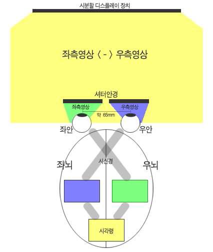 셔터 안경(Shutter Glasses)을 이용한 시분할 방식의 3차원 디스플레이