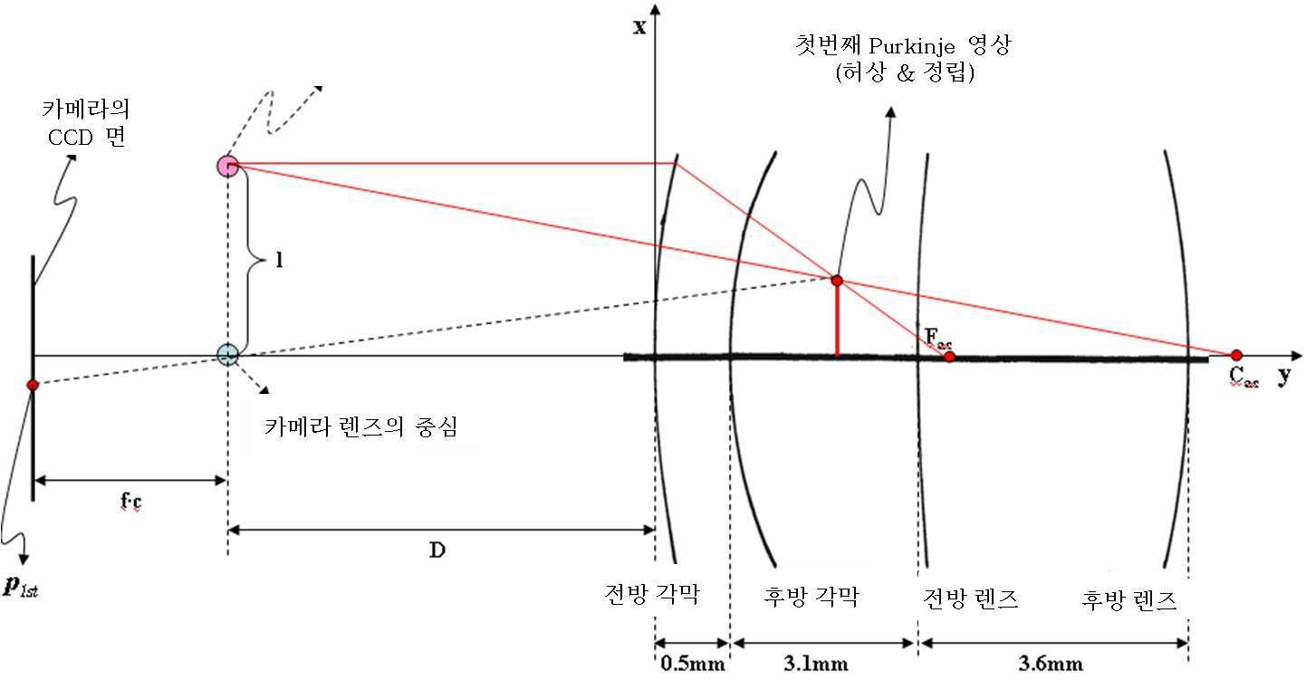 Purkinje Image 형태 모델