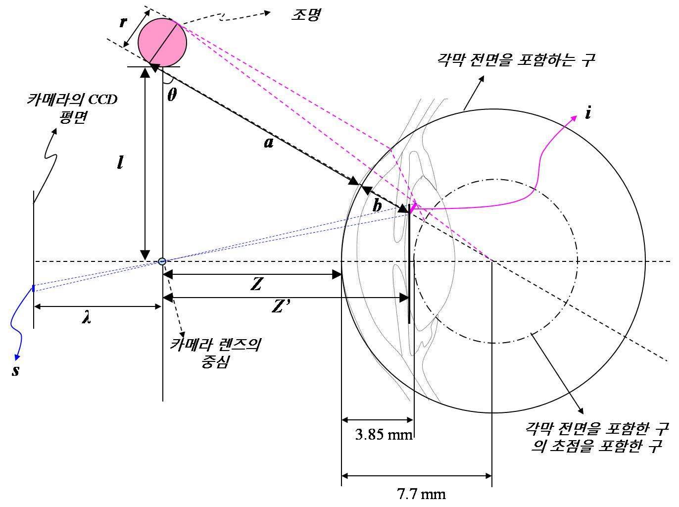 1st Purkinje Image의 크기를 계산하기위한 개념도