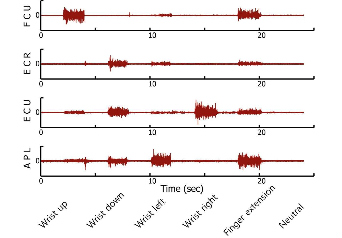 손목의 상/하/좌/우 4방향의 움직임과 손가락을 펴는 움직임에 의해 flexor carpi ulnaris(FCU), extensor carpi radialis(ECR), extensor carpi ulnaris(ECU), abductor pollicis longus(APL) 근육에서 발생되는 EMG 신호.