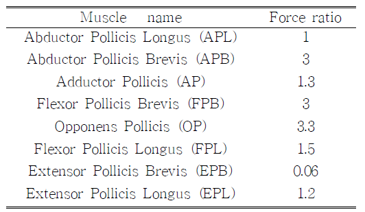 pinch task에서의 각 근육 힘 분포도